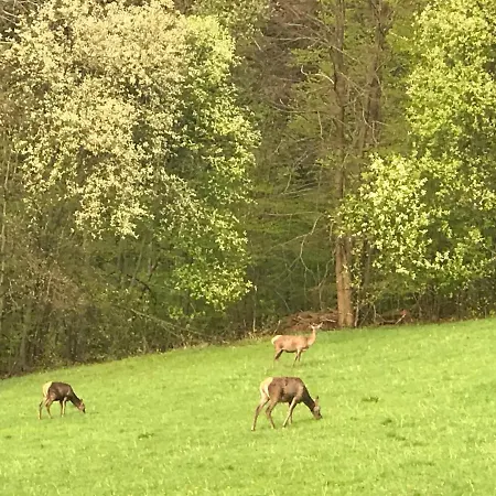 Przy Skoczni Weichsel